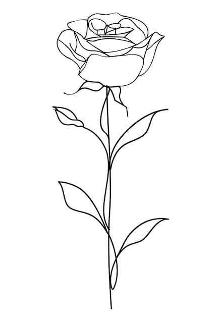 um desenho de uma rosa branca com um contorno preto