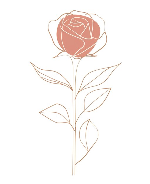 Foto um desenho de uma rosa com a palavra rosa nela