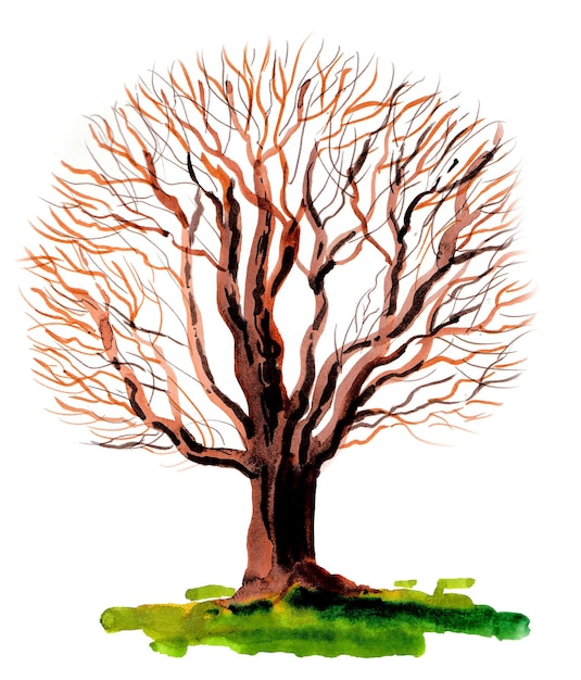 Um desenho em aquarela de uma árvore com as folhas nos galhos.