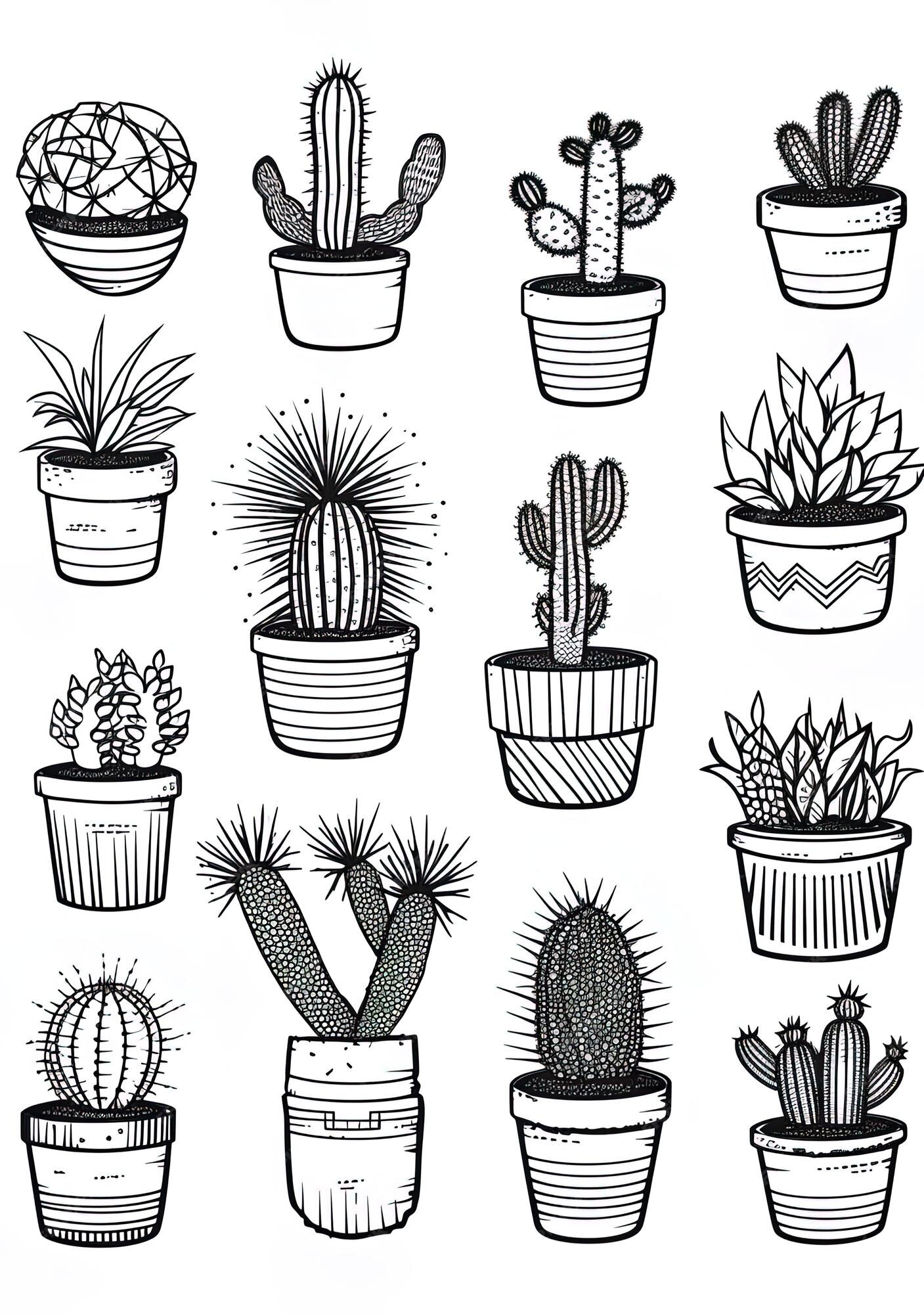 desenhos de cactos para colorir 22  Cactos desenho, Flores para colorir,  Pintura de cacto