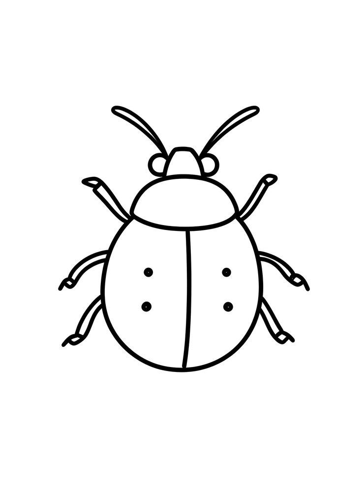 Foto um desenho preto e branco de um inseto com quatro patas