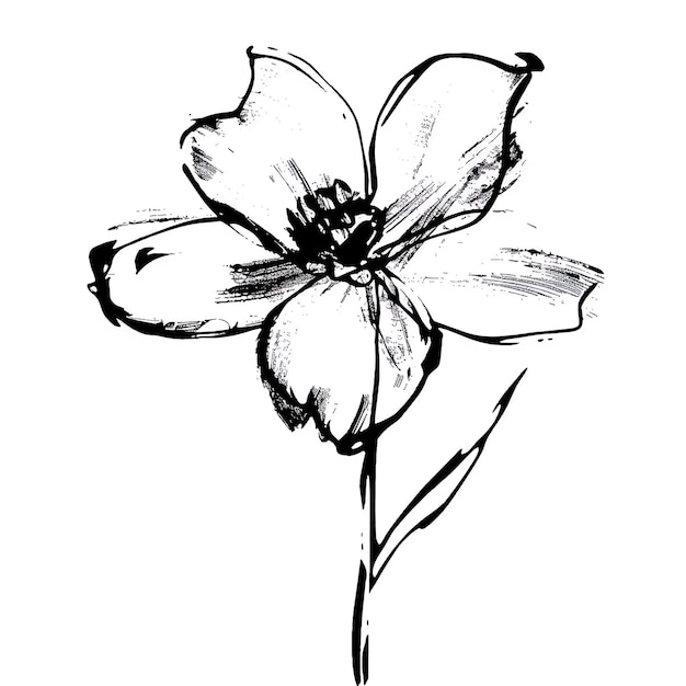 um desenho preto e branco de uma flor com uma flor branca nela