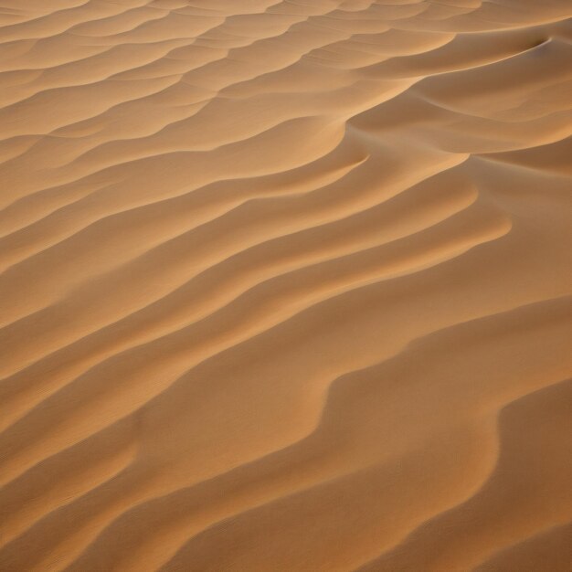Um deserto com dunas de areia e um pássaro a voar