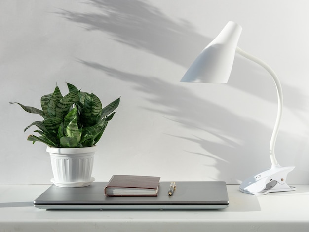 Um desktop em um interior branco com uma lâmpada de mesa, uma planta de casa e um laptop