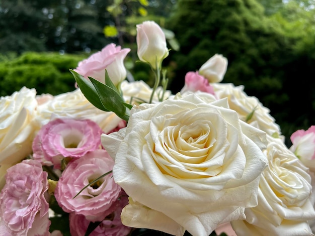 Um elegante buquê de rosas coloridas e folhas decorativas verdes