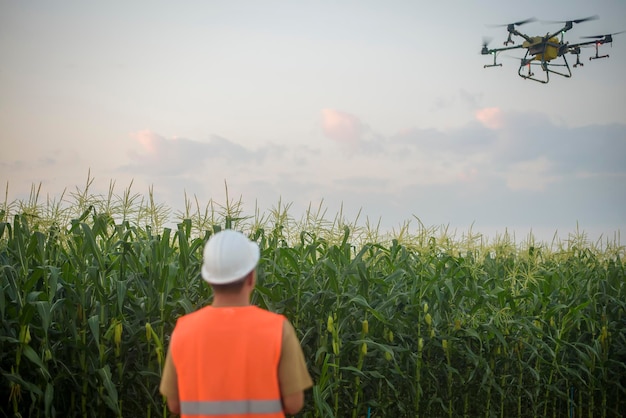 Um engenheiro masculino controlando drones pulverizando fertilizantes e pesticidas sobre terras agrícolas