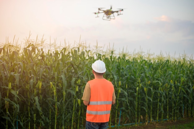 Um engenheiro masculino controlando drones pulverizando fertilizantes e pesticidas sobre terras agrícolas