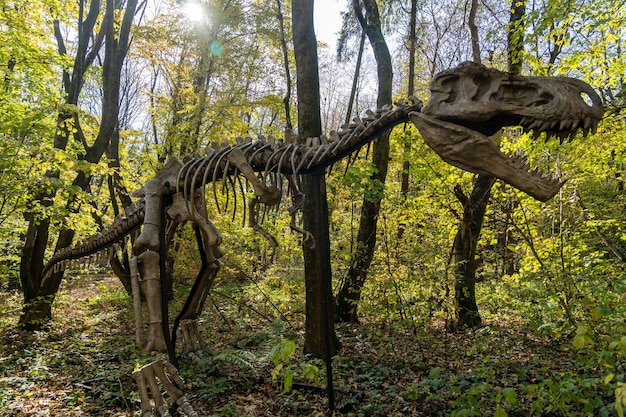 Um enorme modelo de esqueleto de dinossauro na floresta Dinossauro na selva