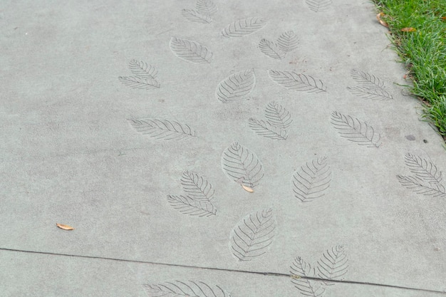 Um estêncil de folhas impressas no pavimento de concreto de um caminho em paisagismo