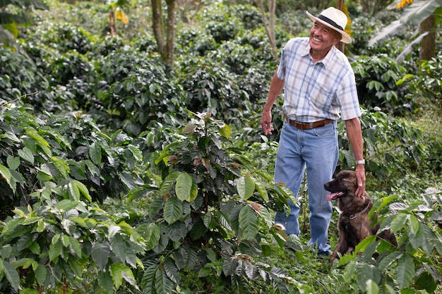 Um fazendeiro idoso acaricia seu cachorro e ri enquanto observa uma colheita de café