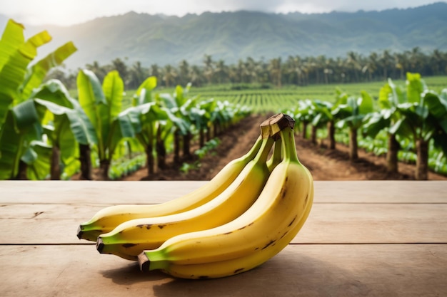 Um feixe de bananas em uma mesa de madeira vazia com fundo de montanha