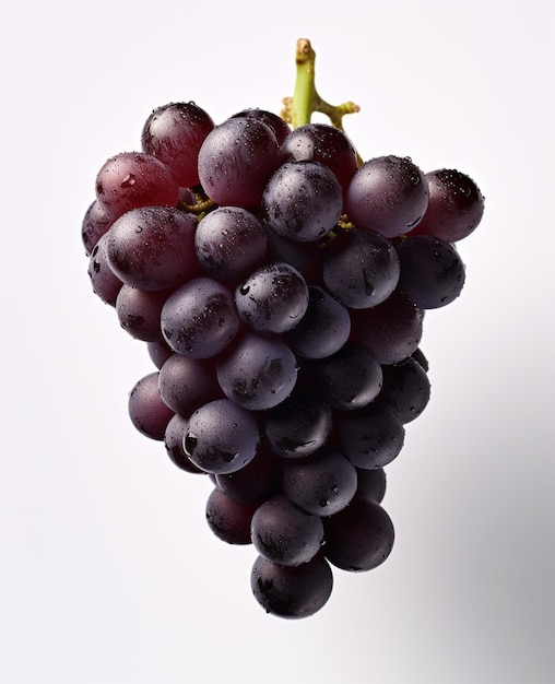 Um feixe de uvas pretas com gotas de água