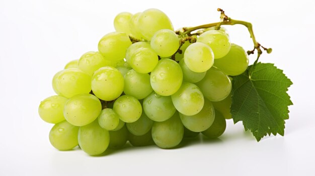 Foto um feixe de uvas verdes com folhas em fundo branco