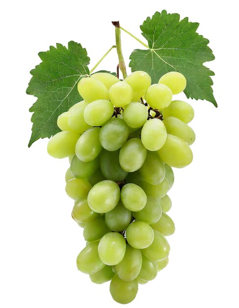 Um feixe de uvas verdes isoladas em fundo branco