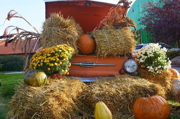 Um festival de colheita de outono as decorações criadas com abóboras de feno são tão indicativas do