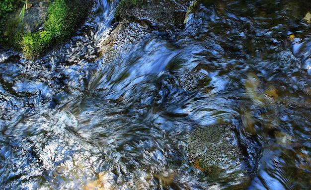 Um fluxo de água flui em um riacho, dobrando-se em torno de pedregulhos e pedras