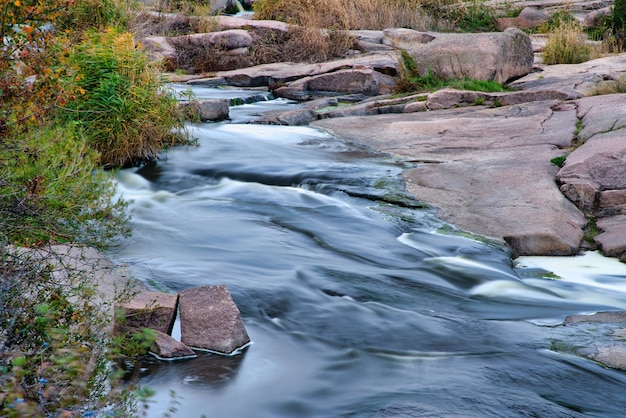 Um fluxo fantástico e rápido corre entre pedras brancas úmidas cobertas com grama dourada amarelada em um outono frio na natureza pitoresca da ucrânia