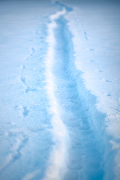 Um, footpath, em, um, paisagem inverno