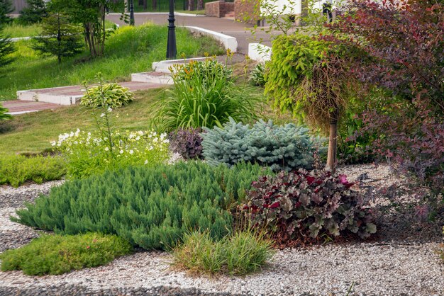 Um fragmento de um parque público com um jardim de cascalho Plantas perenes em paisagismo