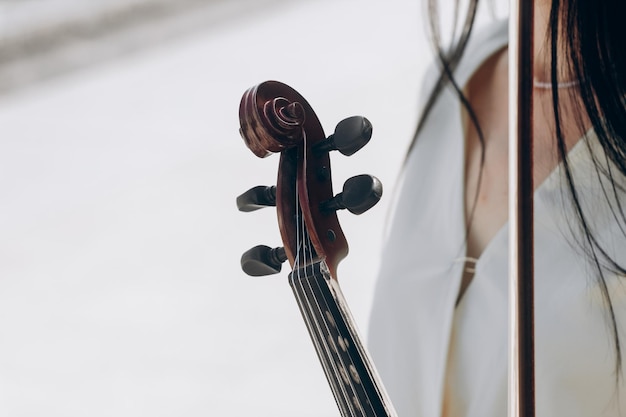 Um fragmento de um violino elétrico um violino nas mãos da garota de um músico