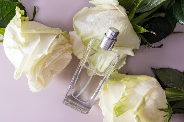 Um frasco chique de spray cosmético ou produtos de perfume está nas grandes cabeças brancas de uma rosa de chá branca Vista superior Apresentação do produto