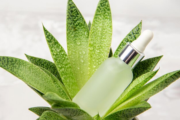 Um frasco conta-gotas de vidro com óleo essencial de soro ou outro produto cosmético e planta de flores tropicais verdes closeup Conceito de beleza cosmética de spa orgânico natural