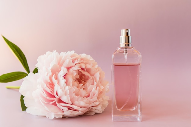 Foto um frasco de perfume de vidro em um fundo rosa com uma bela apresentação de aroma de flor de peônia garrafa sem nome para espaço de apresentação para texto