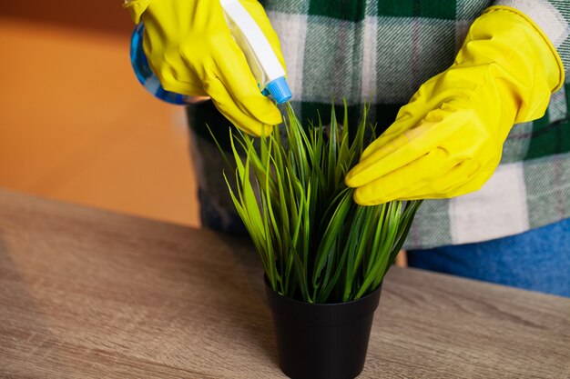 Um funcionário de uma empresa de limpeza limpa o escritório e cuida das plantas