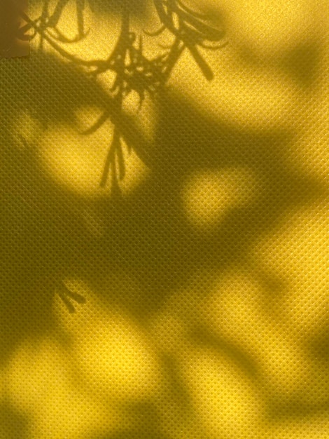 Um fundo amarelo com uma sombra de folhas e uma árvore em primeiro plano.