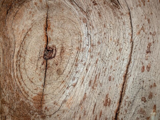 Um fundo plano de madeira com uma superfície natural