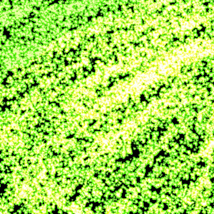 Foto um fundo verde com um fundo verde con um fundo verde