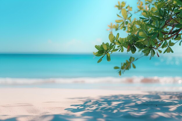 Um galho de árvore em uma praia com o oceano ao fundo e uma imagem borrada da praia do oceano