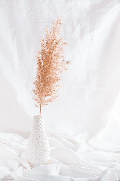 Um galho de grama dos pampas em um vaso branco contra um fundo de tecido branco Estilo de vida interior da casa Vista vertical