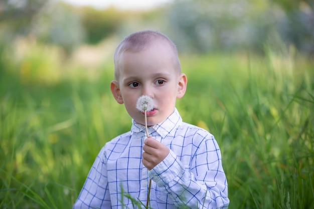 Um garotinho em um jardim florescendo está segurando um dente de leão