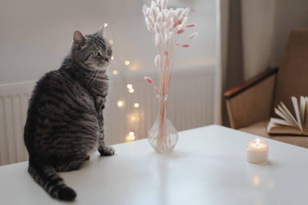 Um gato está sentado em uma mesa ao lado de um vaso de flores.