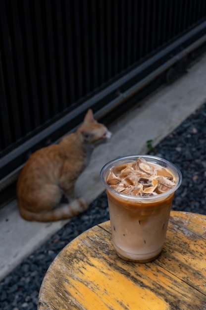 Um gato está sentado no chão