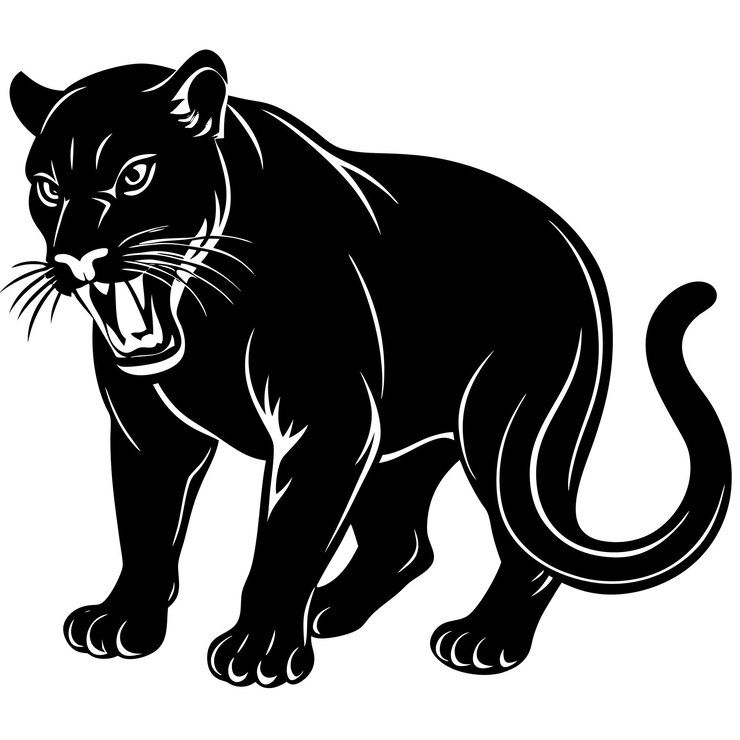 Foto um gato preto com um anel ao redor de sua boca