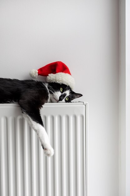 Um gato preto e branco com um chapéu vermelho de Ano Novo jaz em um radiador de aquecimento
