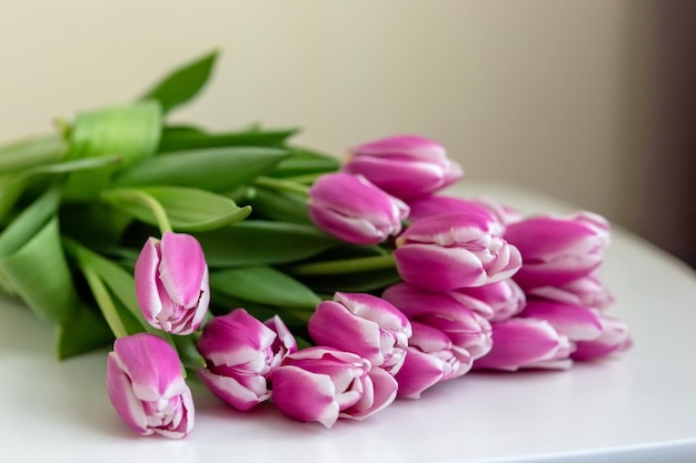 Um grande buquê de lindas tulipas cor de rosa está sobre um fundo branco