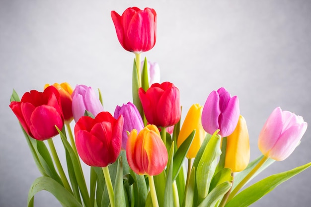 Um grande buquê de tulipas de várias cores em vaso de cristal sobre fundo cinza