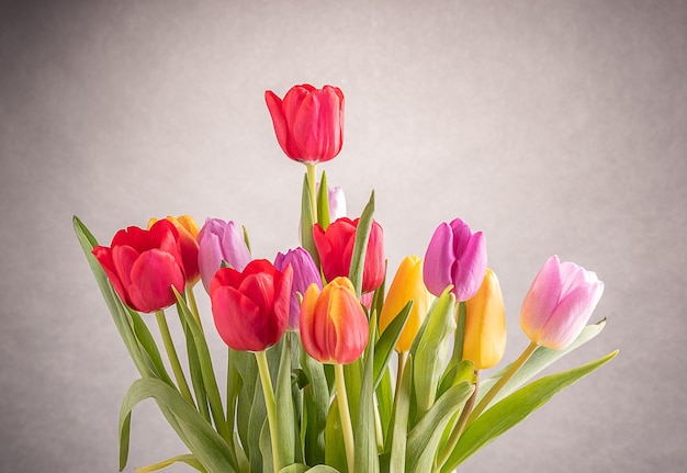 Um grande buquê de tulipas de várias cores em vaso de cristal sobre fundo cinza