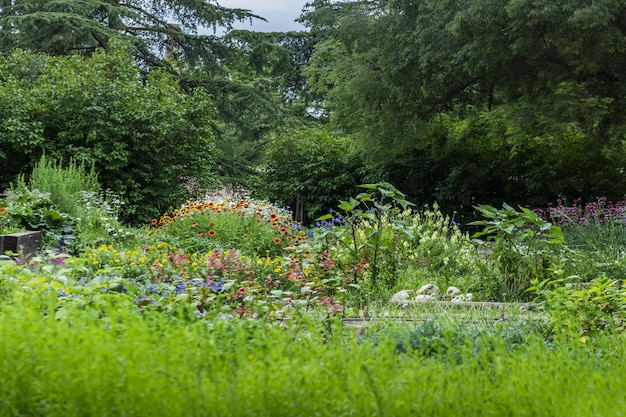 Um grande grupo de flores de várias cores e tipos com folhas verdes em um jardim urbano