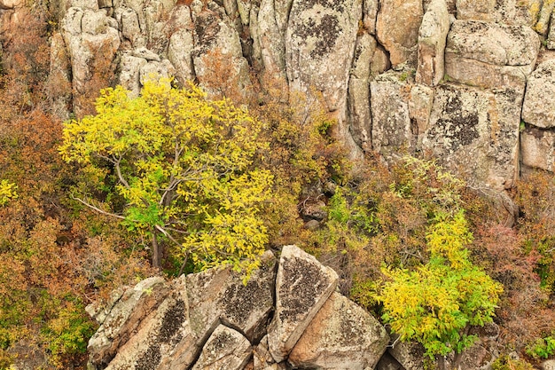 Um grande número de minerais de pedra cobertos por vegetação verde acima de um pequeno rio na pitoresca Ucrânia e sua bela natureza