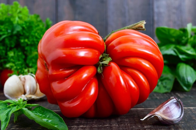 Um grande tomate vermelho maduro com manjericão em uma mesa de madeira variedade de tomate italiano