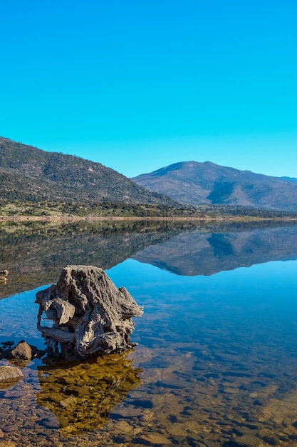 Um grande tronco de uma velha árvore na margem de um lago com águas calmas e reflexo das montanhas ao fundo