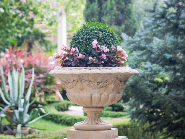 Um grande vaso de pedra com belas flores no antigo parque.