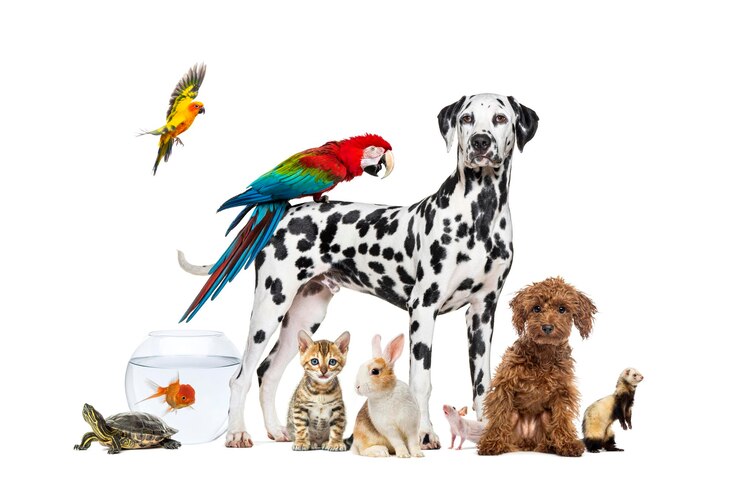 Foto um grupo de animais de estimação posando em torno de um cão de pé com uma arara nas costas é cercado por outros animais de casa comuns gato furão coelho pássaro peixe roedor