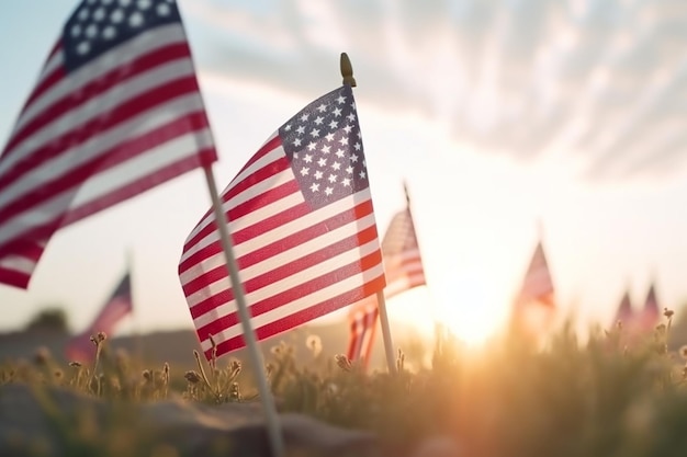 Um grupo de bandeiras americanas está em um campo com o sol se pondo atrás delas.