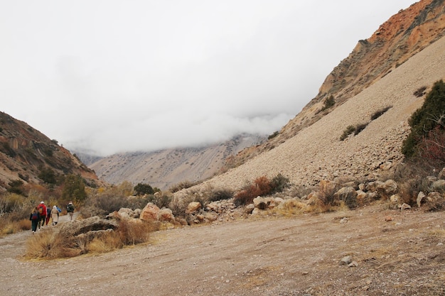 um grupo de caminhantes está caminhando por um caminho de montanha