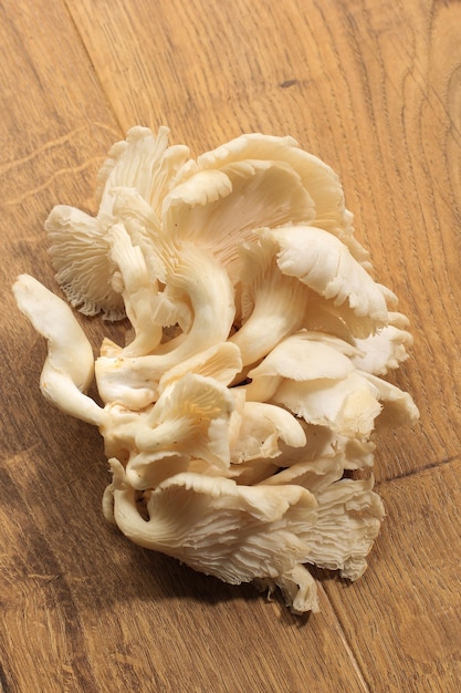 Um grupo de cogumelo-ostra branco isolado em uma mesa marrom pronto para cozinhar na cozinha